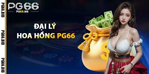 Đại Lý Hoa Hồng PG66
