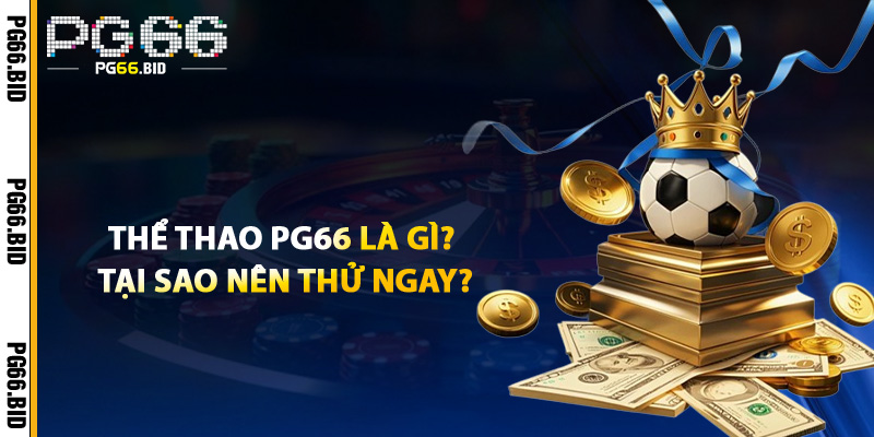 Thể Thao PG66 Là Gì? Tại Sao Nên Thử Ngay?
